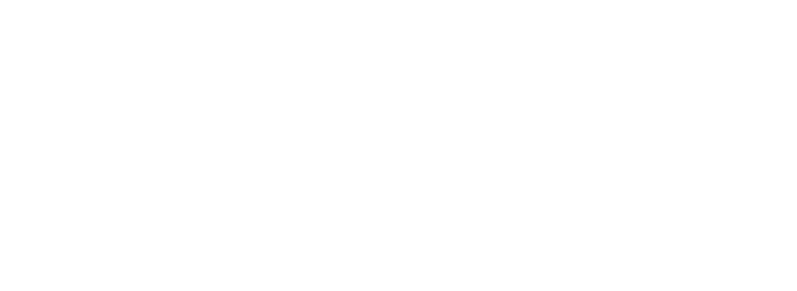 STADVIK